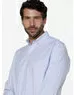 imagem do produto Camisa Oxford Barletta